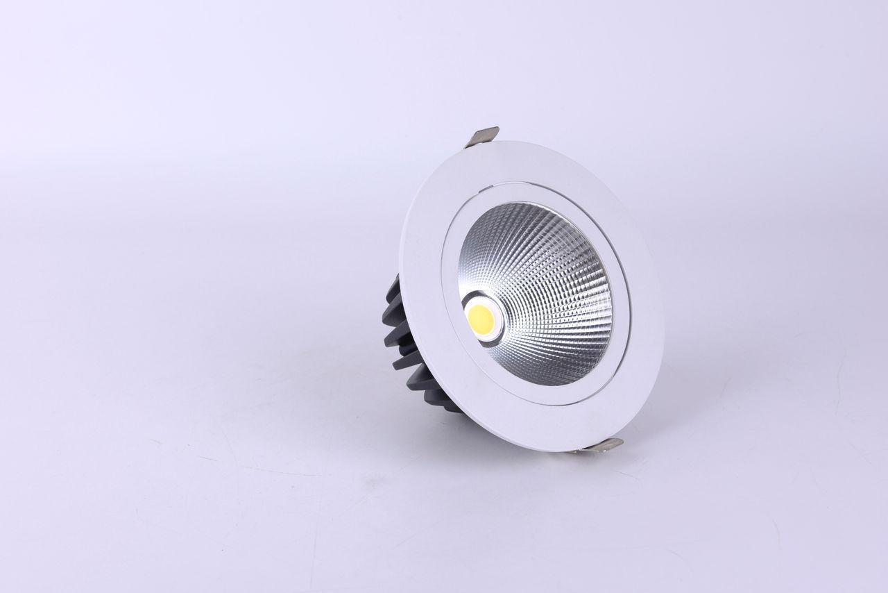 Adjustable COB Spotlight